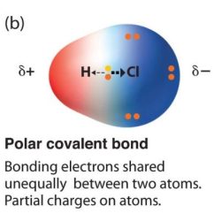 Covalent bonds nonpolar ionic bond substances transcribed polarity