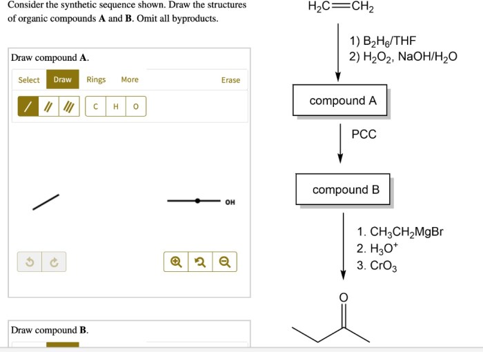 Consider the synthetic sequence shown