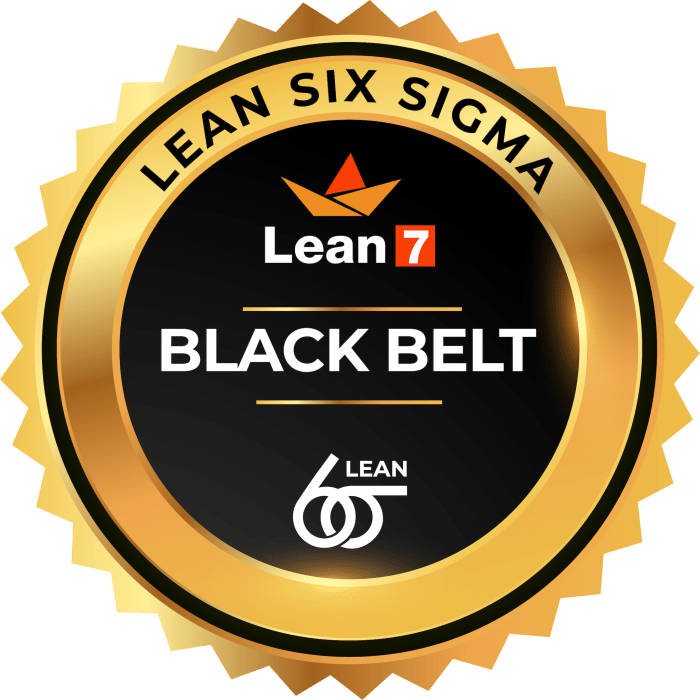 Sigma belt six lean green certification training days earning puzzle become pieces central iassc exams cssc rourkela rims certificate workshop