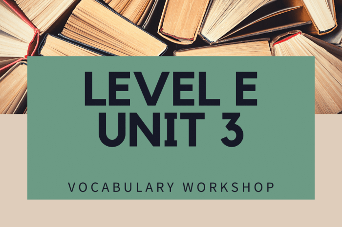 Unit 3 vocabulary workshop level e answers