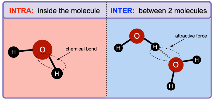 Intermolecular forces and strengths pogil