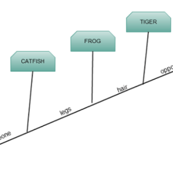 Cladogram practice 2 answer key