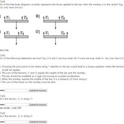 Free body diagrams worksheet answers