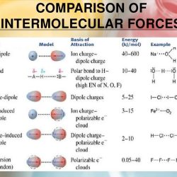 Intermolecular forces and strengths pogil