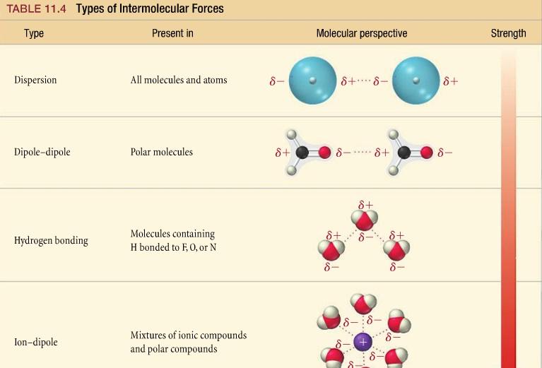 Intermolecular forces and strengths pogil