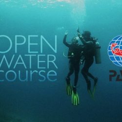 Padi open water dive manual