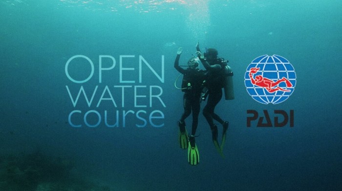 Padi open water dive manual