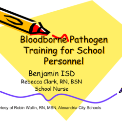 Vector training bloodborne pathogens test answers