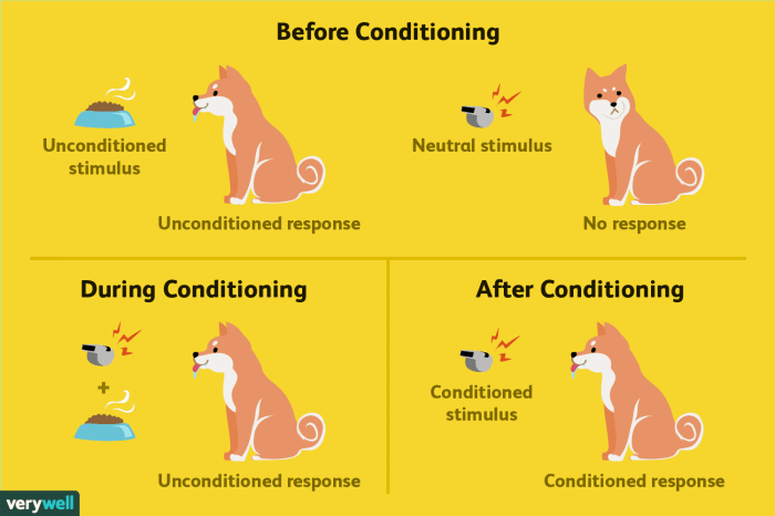 Classical or operant conditioning worksheet answers