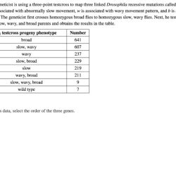 Testcross progeny f1 broad three geneticist suppose point phenotype number uses solved drosophila linked map answer problem been has