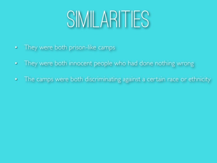 Similarities between the holocaust and the japanese internment