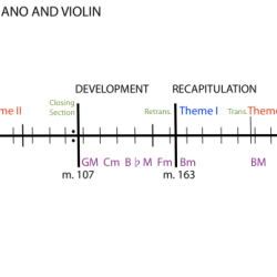 We can best regard sonata-allegro form as a drama between