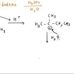 Butene methyl ethyl propene produce name synthesis lab report compound