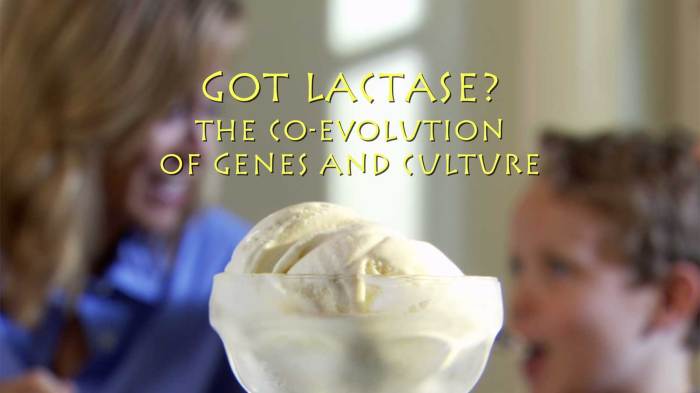 The making of the fittest got lactase answers