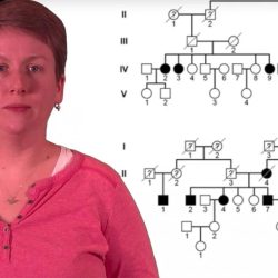 The making of the fittest got lactase answers