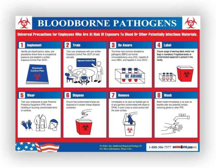 Vector training bloodborne pathogens test answers